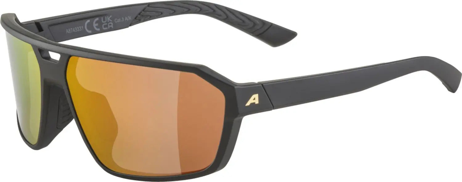 ALPINA SWIFT Fahrradbrillen ALPINA 331 -