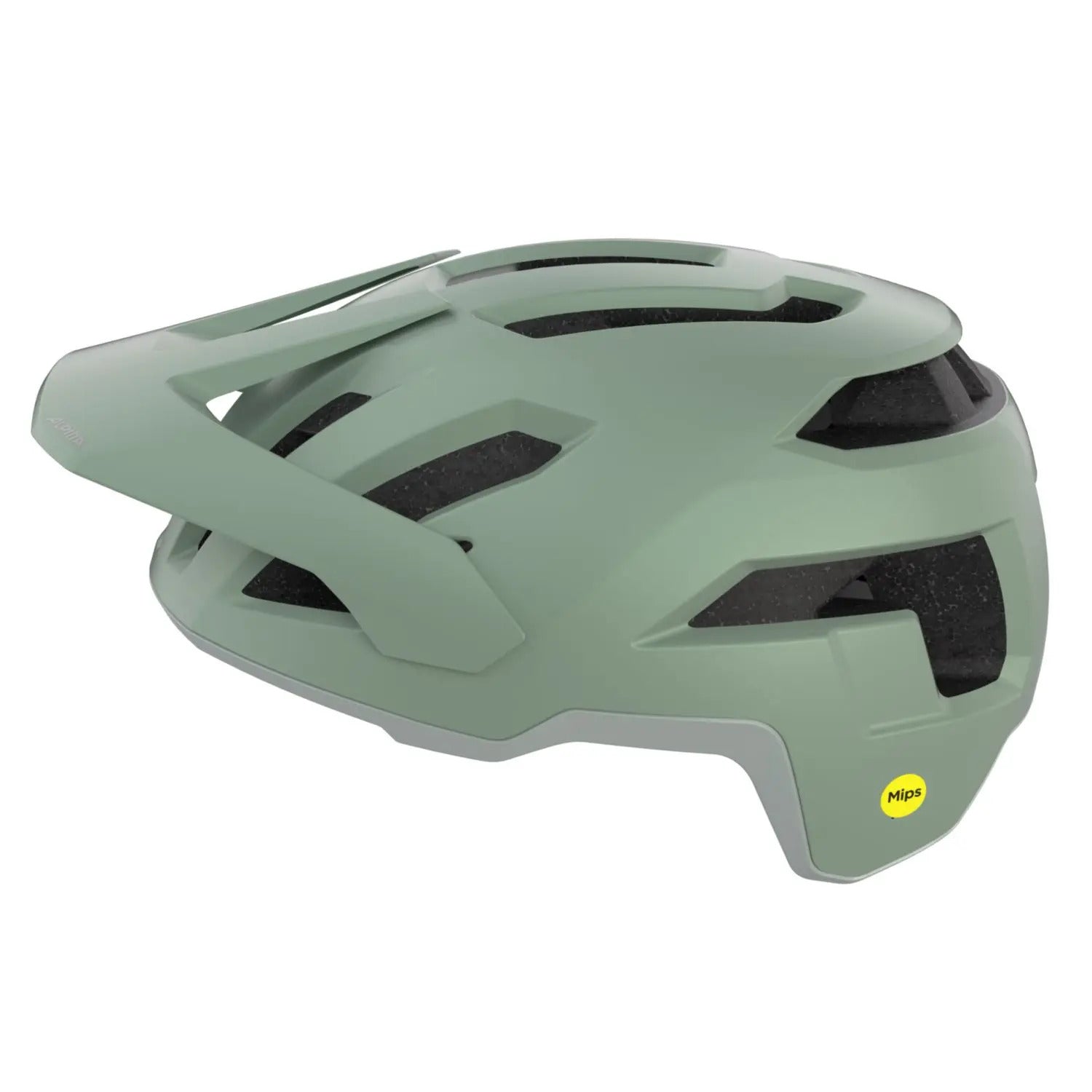 ALPINA TAUNUS MIPS Fahrradhelme & Schoner ALPINA