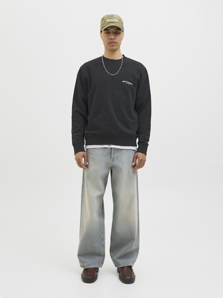 JACK & JONES JJEDOVER PRINT SWEAT CREW NECK Freizeitpullover JACK & JONES