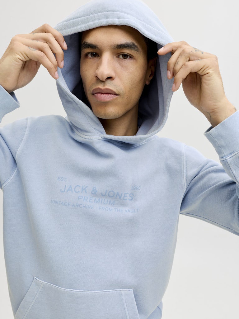 JACK & JONES JPRBLUAIDEN HOOD SWEAT Freizeitpullover JACK & JONES
