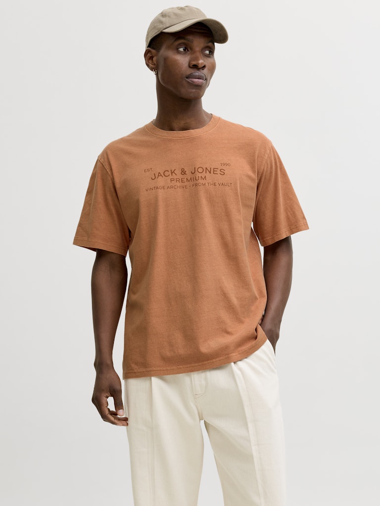 JACK & JONES JPRBLUAIDEN SS TEE Freizeitshirts /-hemden JACK & JONES