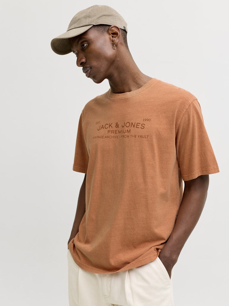 JACK & JONES JPRBLUAIDEN SS TEE Freizeitshirts /-hemden JACK & JONES