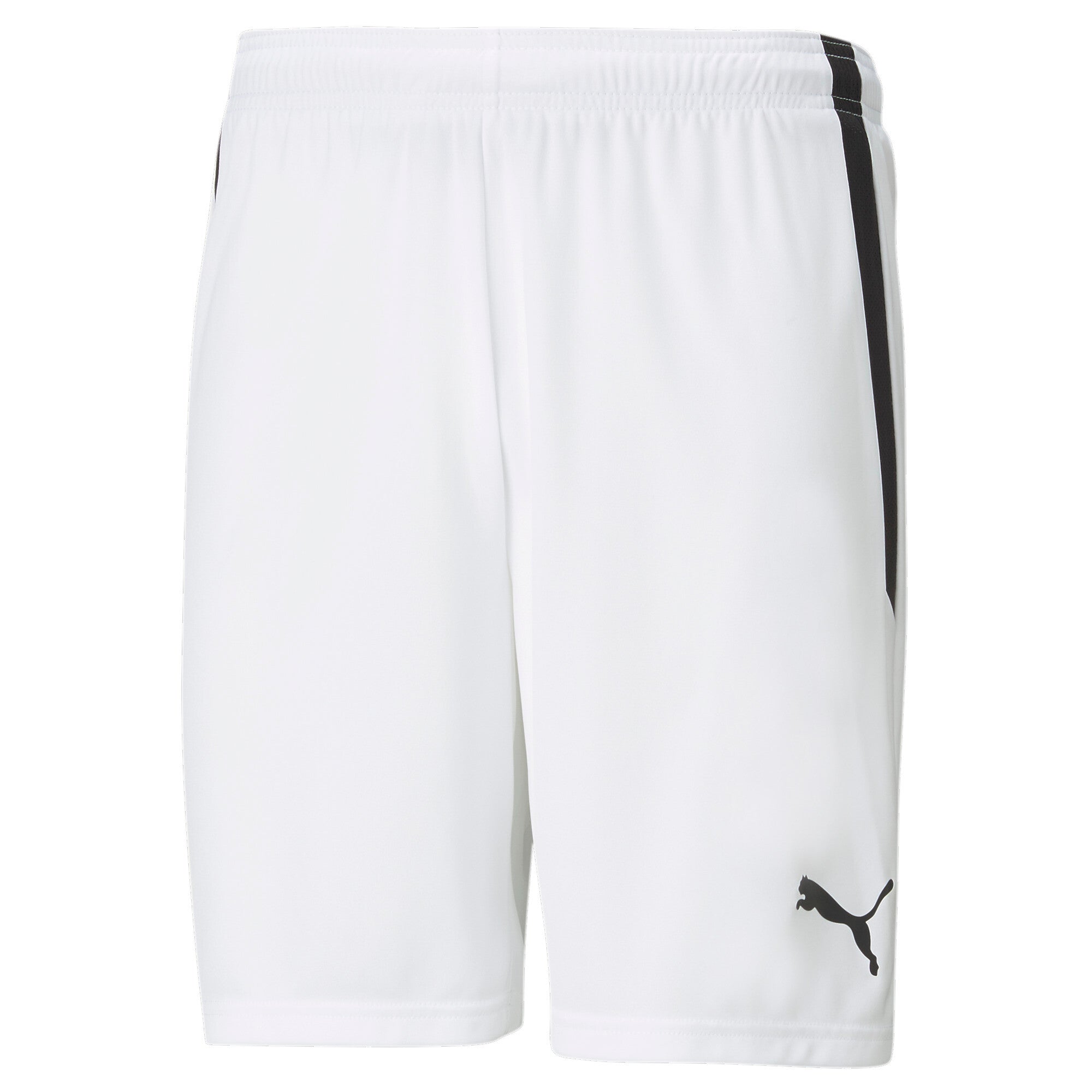 PUMA teamLIGA Shorts