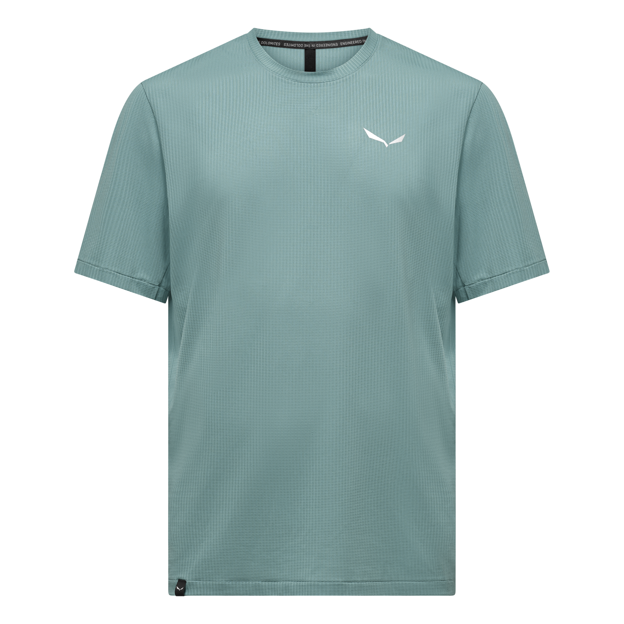 SALEWA PEDROC DRY LIGHT T-SHIRT M Wandershirts /-hemden SALEWA willow S