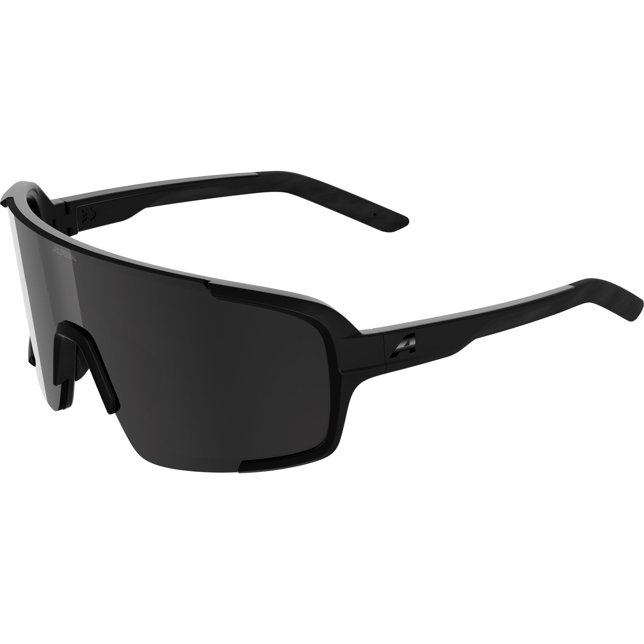 ALPINA LUMIN Fahrradbrillen ALPINA black -