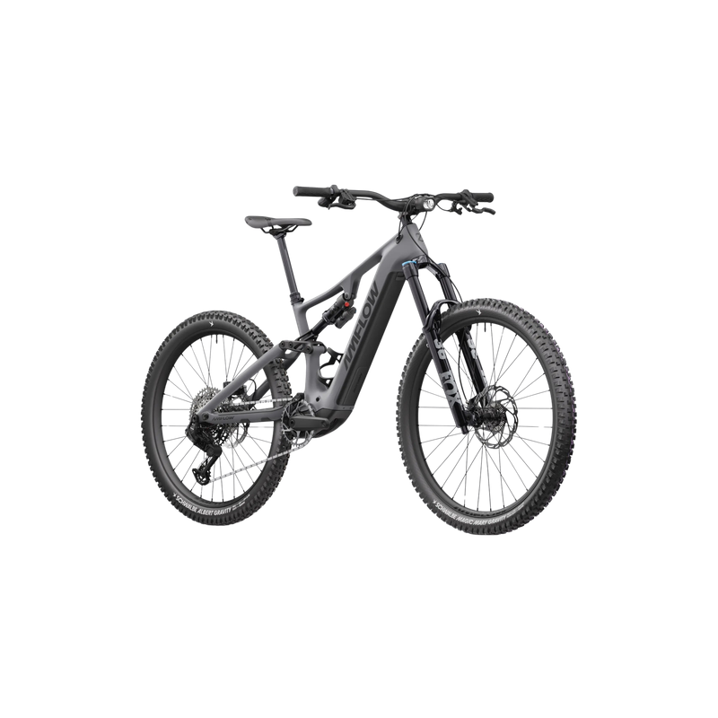 AMFLOW Amflow PR Carbon Pro-L-EU+battery E-Mountainbike AMFLOW