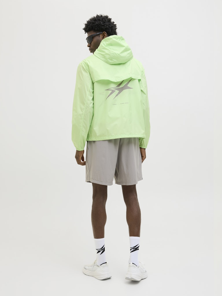 JACK & JONES JCOCNZ PARIS WINDBREAKER JACKET NOO Paradise Green/With Back Print Freizeitjacken JACK & JONES
