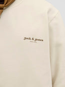 JACK & JONES JJEDOVER PRINT SWEAT CREW NECK Freizeitpullover JACK & JONES