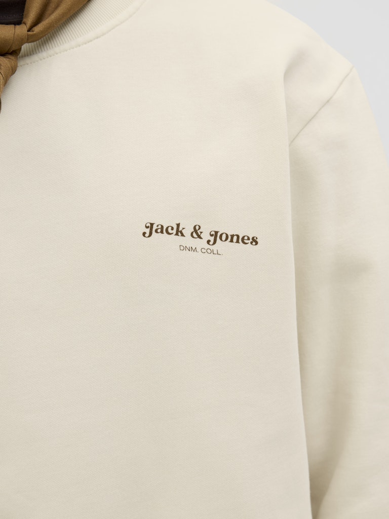 JACK & JONES JJEDOVER PRINT SWEAT CREW NECK Freizeitpullover JACK & JONES