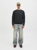 JACK & JONES JJEDOVER PRINT SWEAT CREW NECK Freizeitpullover JACK & JONES