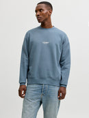 JACK & JONES JJESOHO SWEAT CREW NECK NOOS Freizeitpullover JACK & JONES