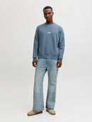 JACK & JONES JJESOHO SWEAT CREW NECK NOOS Freizeitpullover JACK & JONES