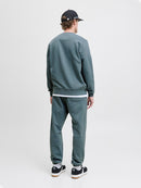 JACK & JONES JJESOHO SWEAT CREW NECK NOOS Freizeitpullover JACK & JONES