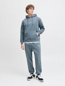 JACK & JONES JJESOHO SWEAT HOOD NOOS Freizeitpullover JACK & JONES