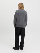 JACK & JONES JPRBLACHAD BRANDING SWEAT CREW NECK Freizeitpullover JACK & JONES
