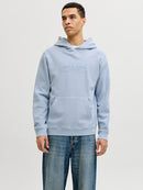 JACK & JONES JPRBLUAIDEN HOOD SWEAT Freizeitpullover JACK & JONES