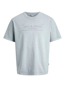 JACK & JONES JPRBLUAIDEN SS TEE Freizeitshirts /-hemden JACK & JONES Ashley Blue S