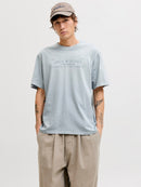 JACK & JONES JPRBLUAIDEN SS TEE Freizeitshirts /-hemden JACK & JONES