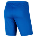 NIKE Herren Teamshorts Dri-FIT PARK III