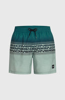 O´NEILL O'NEILL LOGO STRIPE 16'' SWIMSHORTS Badehose O´NEILL Green Heritage Stripe S