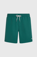 O´NEILL O'NEILL VERT 16'' SWIMSHORTS Badehose O´NEILL Botanical Heat S