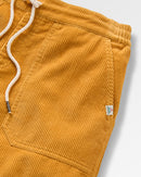 PASSENGER Avian Organic Cord Short 2.0