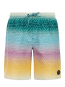 PROTEST PRTChopper JR beachshort