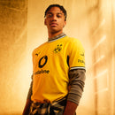 PUMA BVB Home Jersey Replica