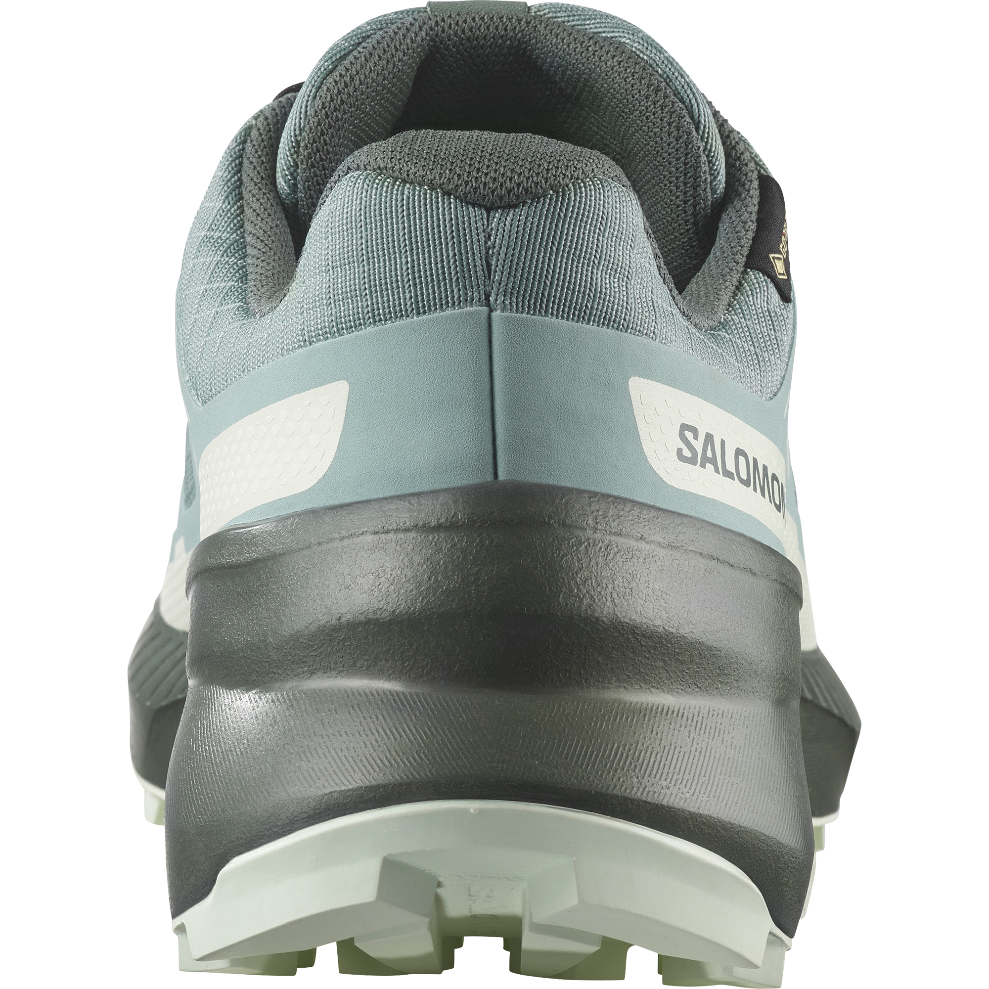 SALOMON SHOES SPEEDCROSS PEAK GTX W Troope/Tourm Trail SALOMON