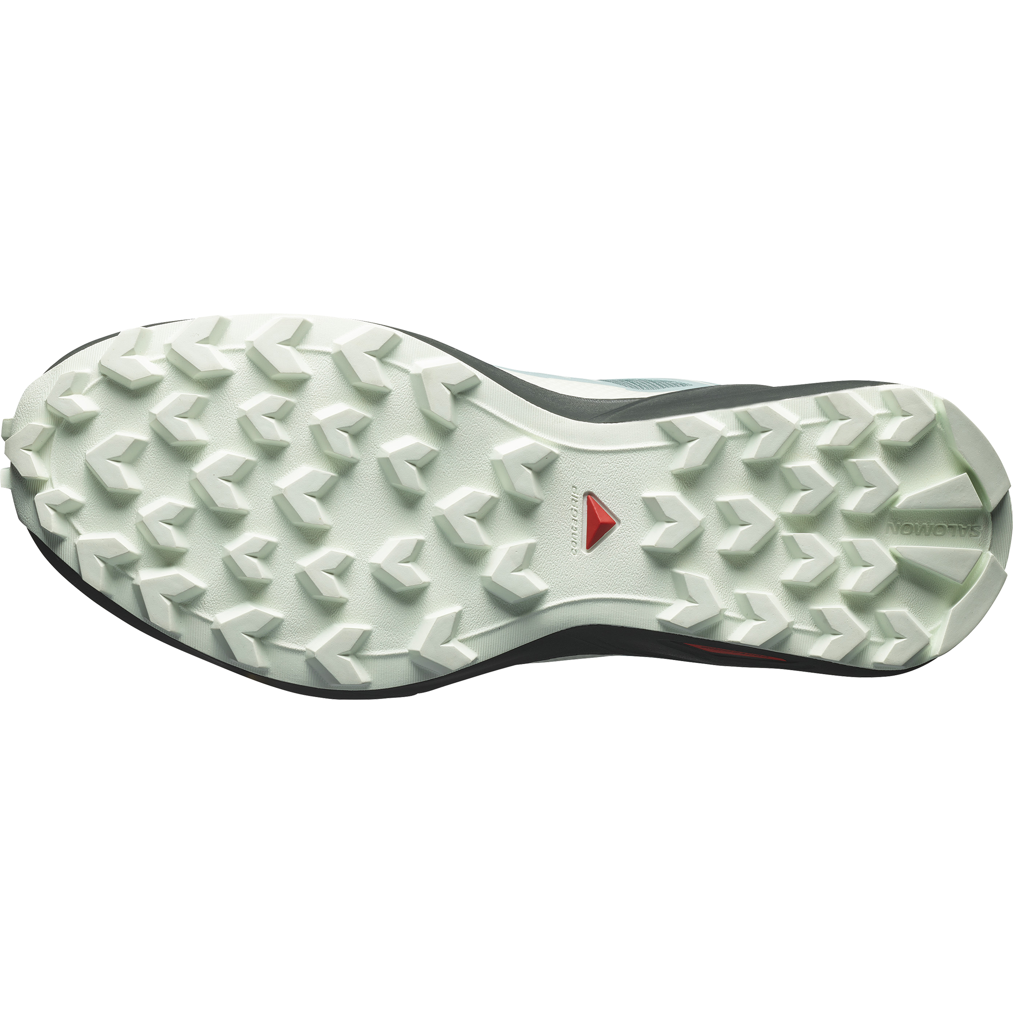 SALOMON SHOES SPEEDCROSS PEAK GTX W Troope/Tourm Trail SALOMON