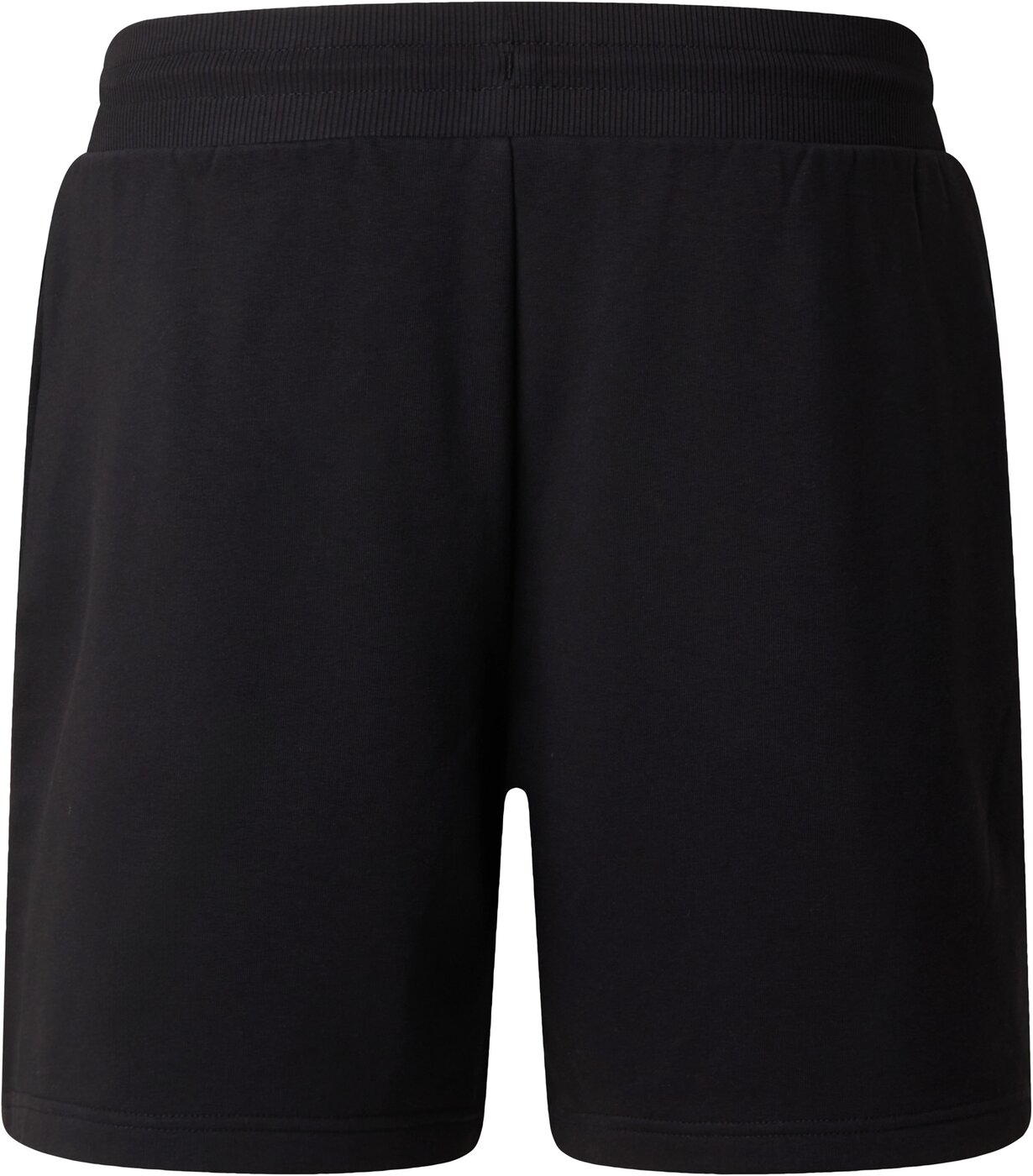 THE NORTH FACE M SIMPLE DOME LIGHT REGULAR SHORTS Freizeithosen THE NORTH FACE