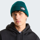 THE NORTH FACE SALTY LINED BEANIE THE NORTH FACE