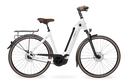 VELO DE VILLE AEB 990CXG4 PURE E-Mountainbike VELO DE VILLE Pure White glan 45