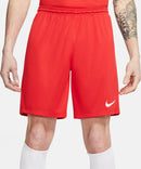 NIKE Herren Teamshorts Dri-FIT PARK III Fußballhosen NIKE